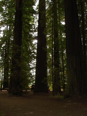 us05095.jpg